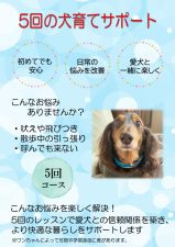 5times_support-thumb